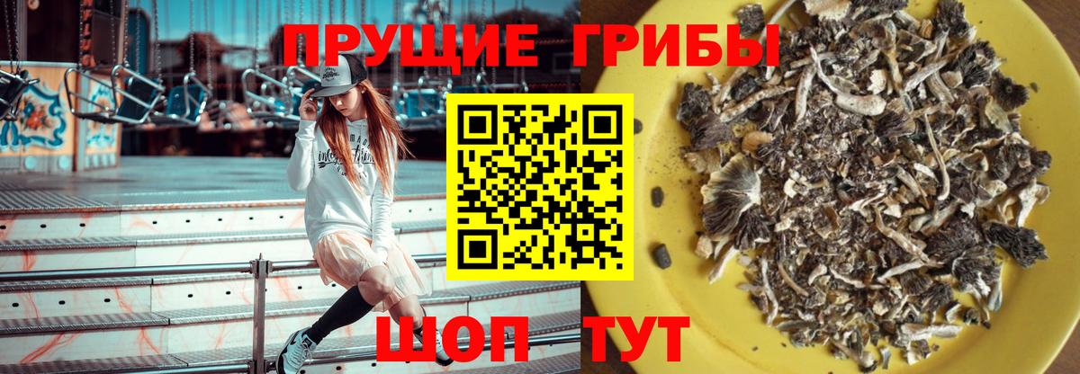 Галлюциногенные грибы Psilocybe  Псилоцибиновые грибы мицелий  Ступино  Вход с VPN 